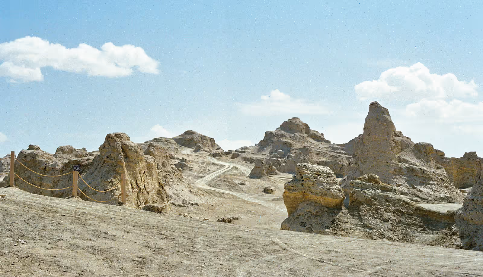 William Wang film photograph 139